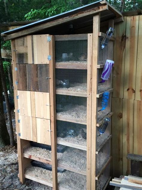 best quail coop design|20 Homemade DIY Quail Cage Plans and Ideas